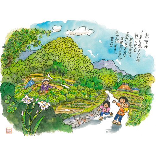 明るい農村 やぶきた