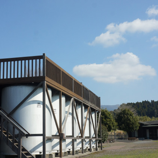 10年古酒 明るい農村