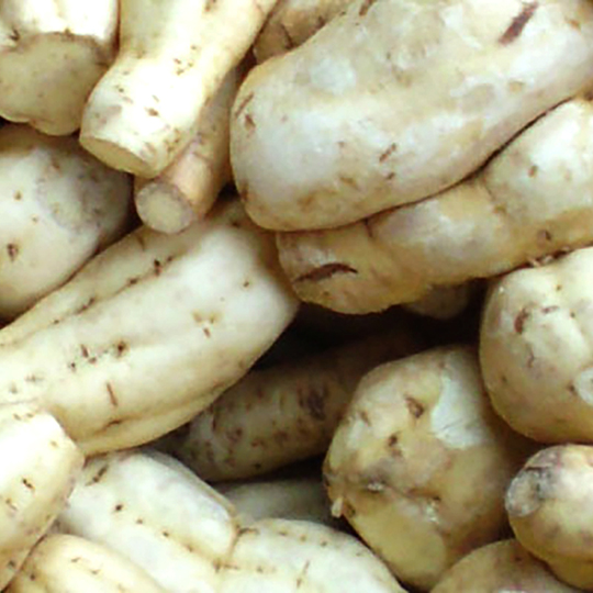 明るい農村　秘蔵古酒