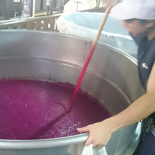 赤芋仕込み　明るい農村