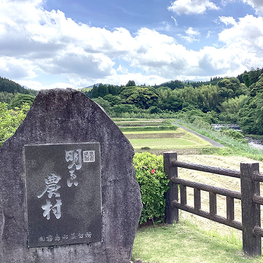 10年古酒　赤芋明るい農村