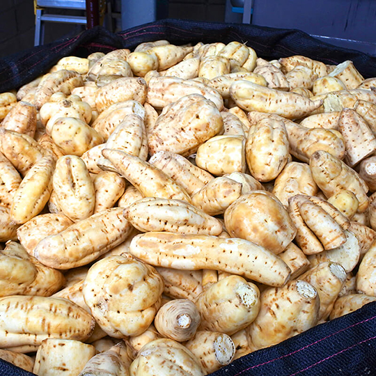 AKARUI NOUSON ミズナラ樽熟成「芋」 12年