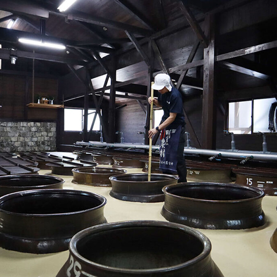 明るい農村の四季「春」