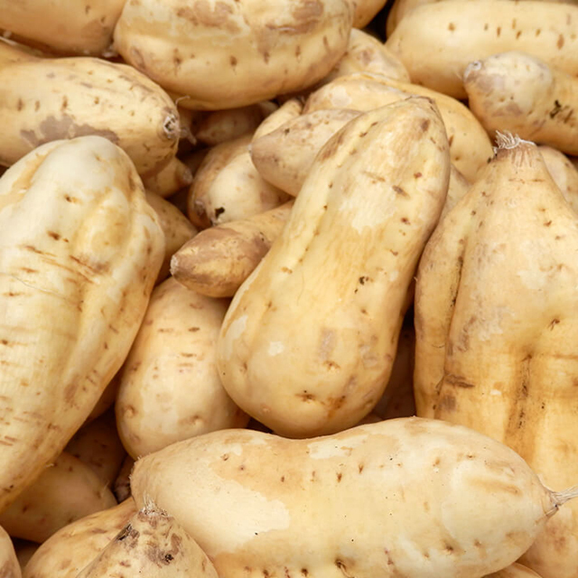 天然酵母仕込み 芋焼酎　農村2号