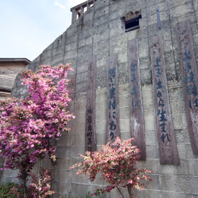 霧島町蒸留所 白麹
