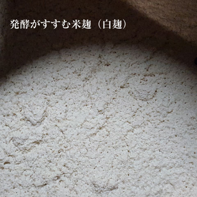 霧島町蒸留所 白麹