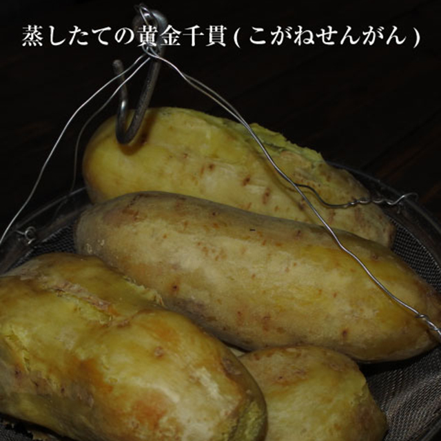 霧島町蒸留所 白麹