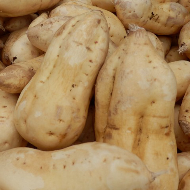 霧島町蒸留所 黒麹