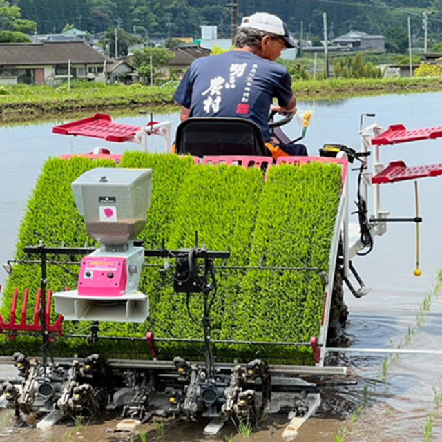 米焼酎 Kirishima Measa