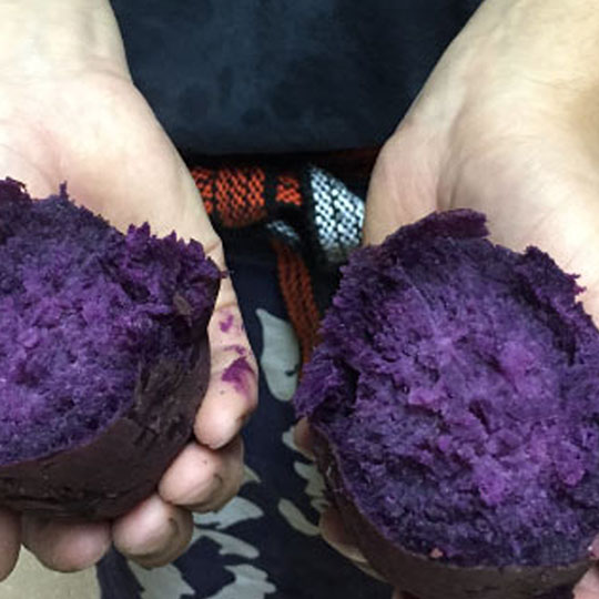 紫芋焼き芋焼酎「農家の嫁」