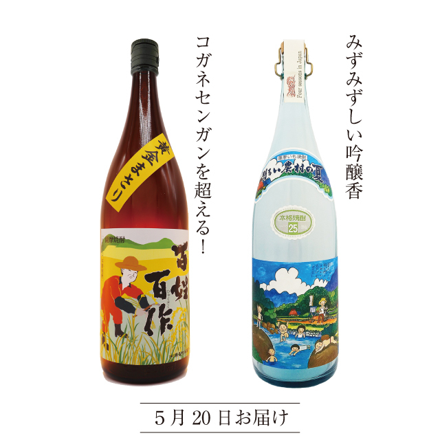 2025　春の頒布会　5月の芋焼酎