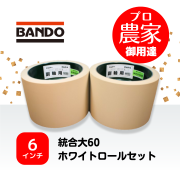 ロールチケット 6ロール クスコ（CUSCO） SAFETY 21ロールケージ 6点式、2名,4名乗車、ダッシュ