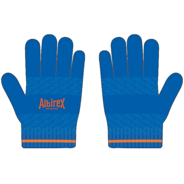 裏起毛グローブ