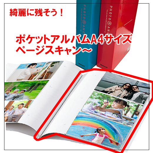 ポケアルページスキャン