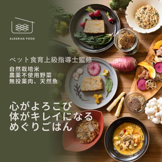 おためしセット４