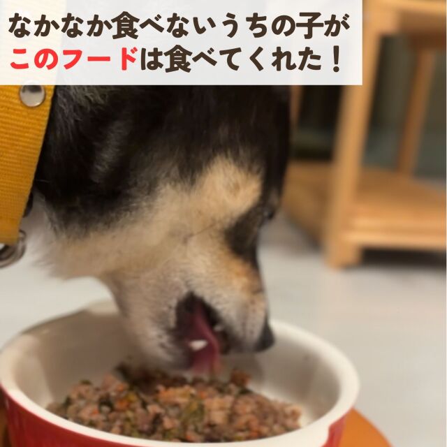 アレグリアスフードは色の細い子にも好評です