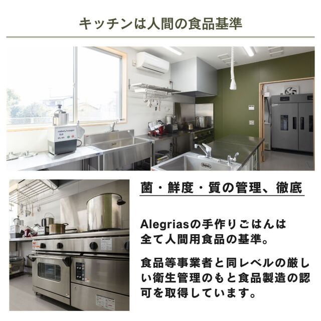 おためしセット２