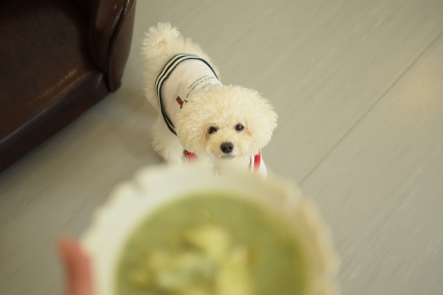 鯛のグリーンリゾット