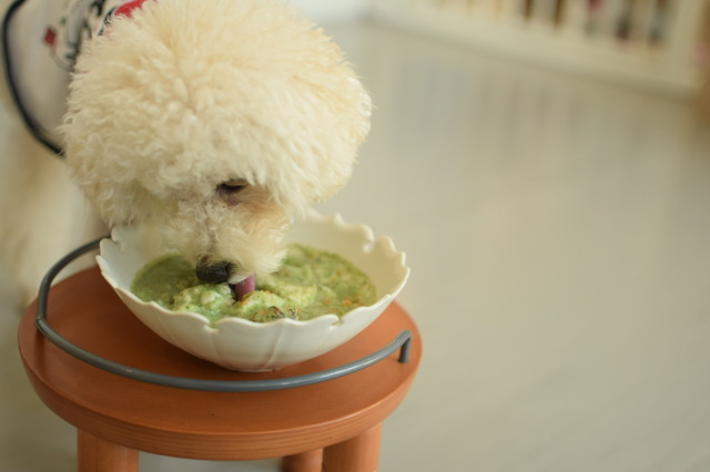 鯛のグリーンリゾット２