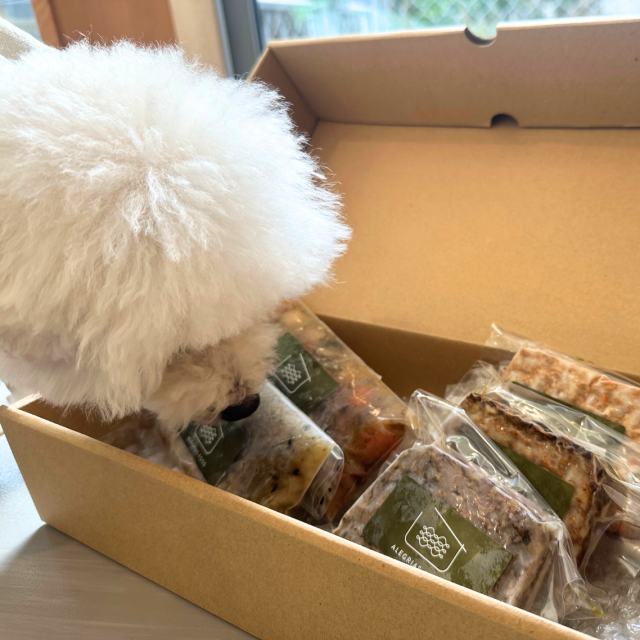 お試しセットn1