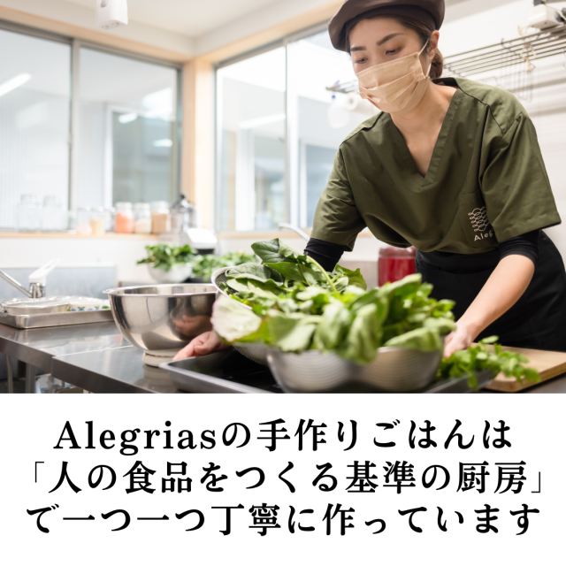 お試しセットn10