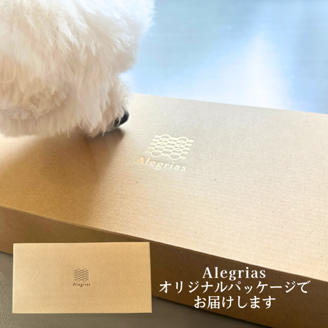 お試しセットn2