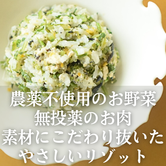 お試しセットn4