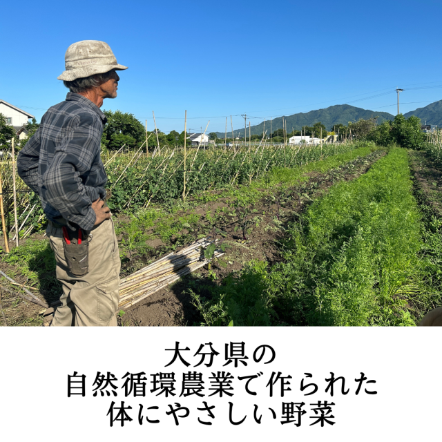 お試しセットn9