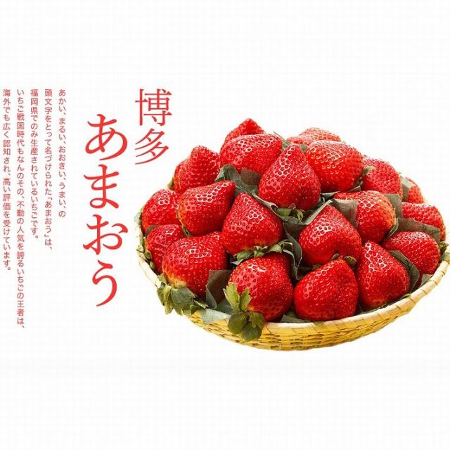 博多あまおうのこだわりアイス（１０個）