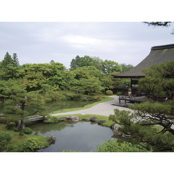 仁秀フリーカップペア