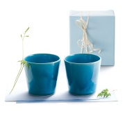 きらら坂　信楽 あお　(KL-1609）