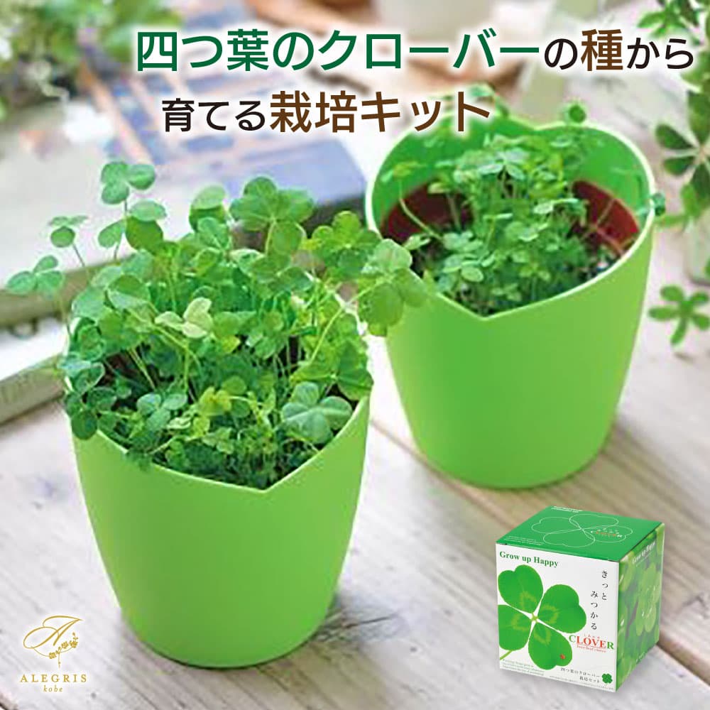 母の日 ギフト 四つ葉のクローバー栽培セット プレゼント 人気 ランキング 通販 職場 彼女 お菓子以外 雑貨 テーブルウェア おしゃれ かわいい 20代 30代 40代 女性 母の日