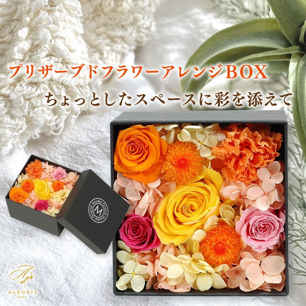 ホワイトデーお返し ギフト グランミュゼ ブリザードフラワー プランタン ボックス (S) プレゼント 人気 ランキング 通販 職場 彼女 お菓子以外 テーブルウェア おしゃれ かわいい 20代 30代 40代 女性 母の日