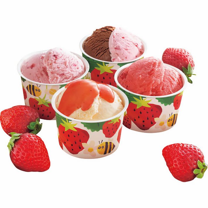 博多あまおうのこだわりアイス（１０個）