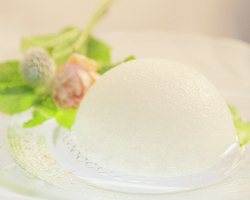 アレンス洗顔スポンジ　白　丸型