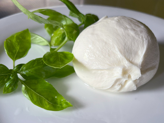 モッツァレラブッラータ イタリア産 Sorrentina