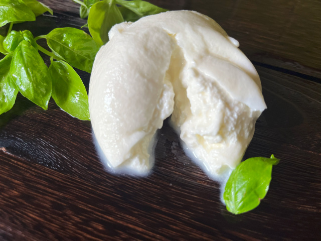 モッツァレラブッラータ イタリア産 Sorrentina