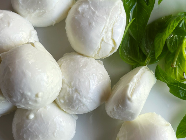 水牛モッツァレラブッファラ ひとくちサイズ イタリア産