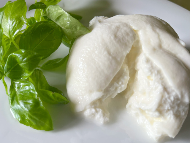 モッツァレラブッラータ イタリア産 Sorrentina