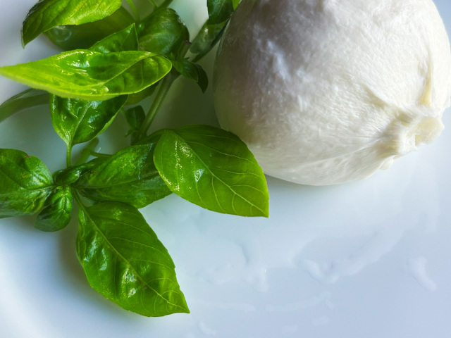 モッツァレラブッラータ イタリア産 Sorrentina