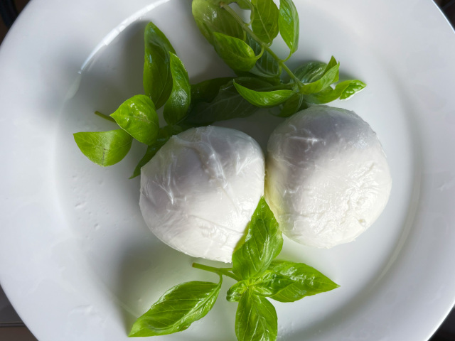水牛ミルクのモッツァレラチーズブッファラ
