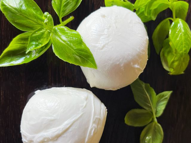 水牛ミルクのモッツァレラチーズブッファラ