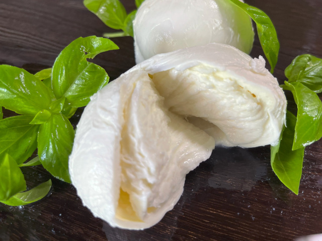 水牛ミルクのモッツァレラチーズブッファラ