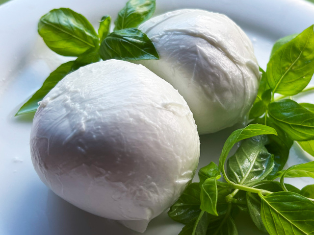 水牛ミルクのモッツァレラチーズブッファラ