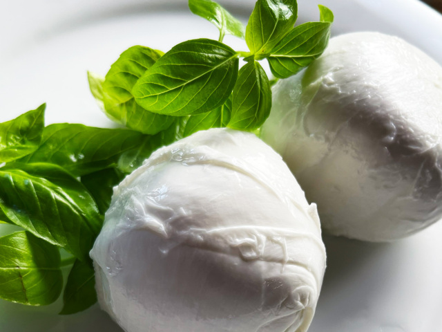 水牛ミルクのモッツァレラチーズブッファラ