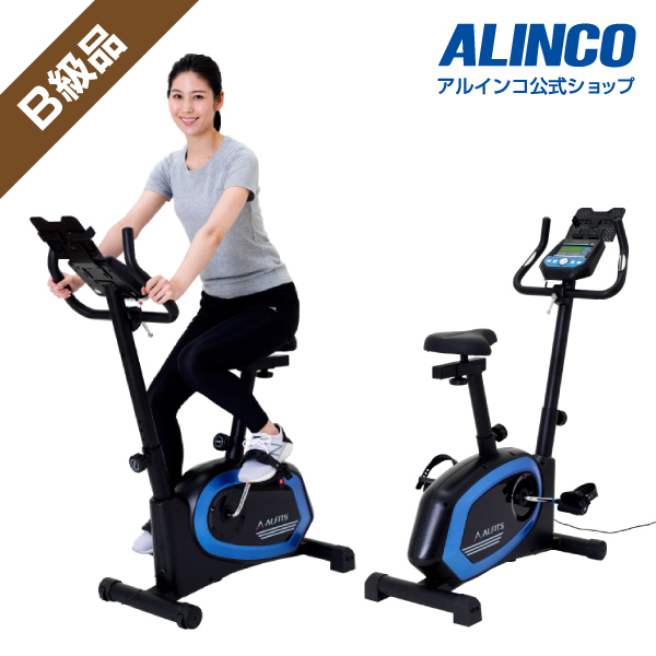 B級品 AFB6319 プログラムバイク6319