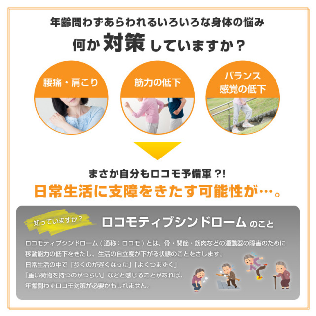 新品・未開封【アルインコ】バランスウォーク　筋力強化、体幹トレーニングに… ALINCO アルインコ バランスウォーク EX8017 健康器具