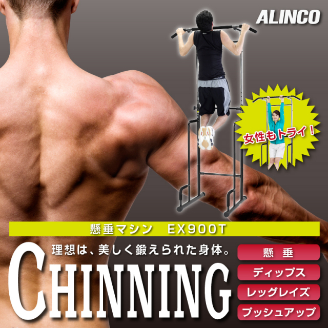アルインコ 懸垂マシン EX900T ALINCO