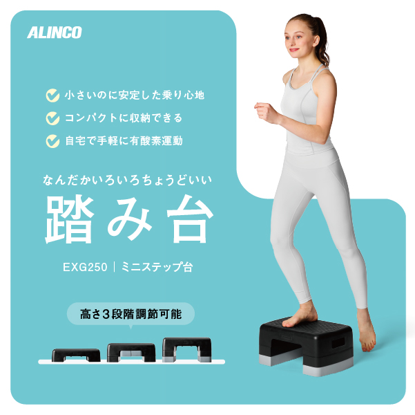 ミニステップ台 EXG250 (新品)