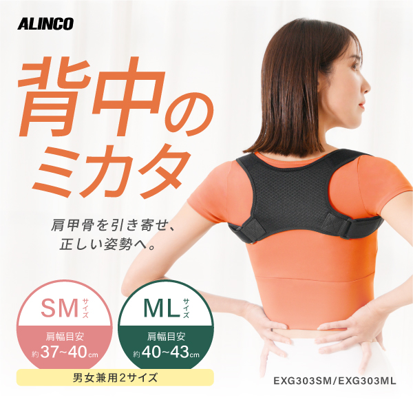 背中のミカタ EXG303 (新品)【クロネコゆうパケット対象】